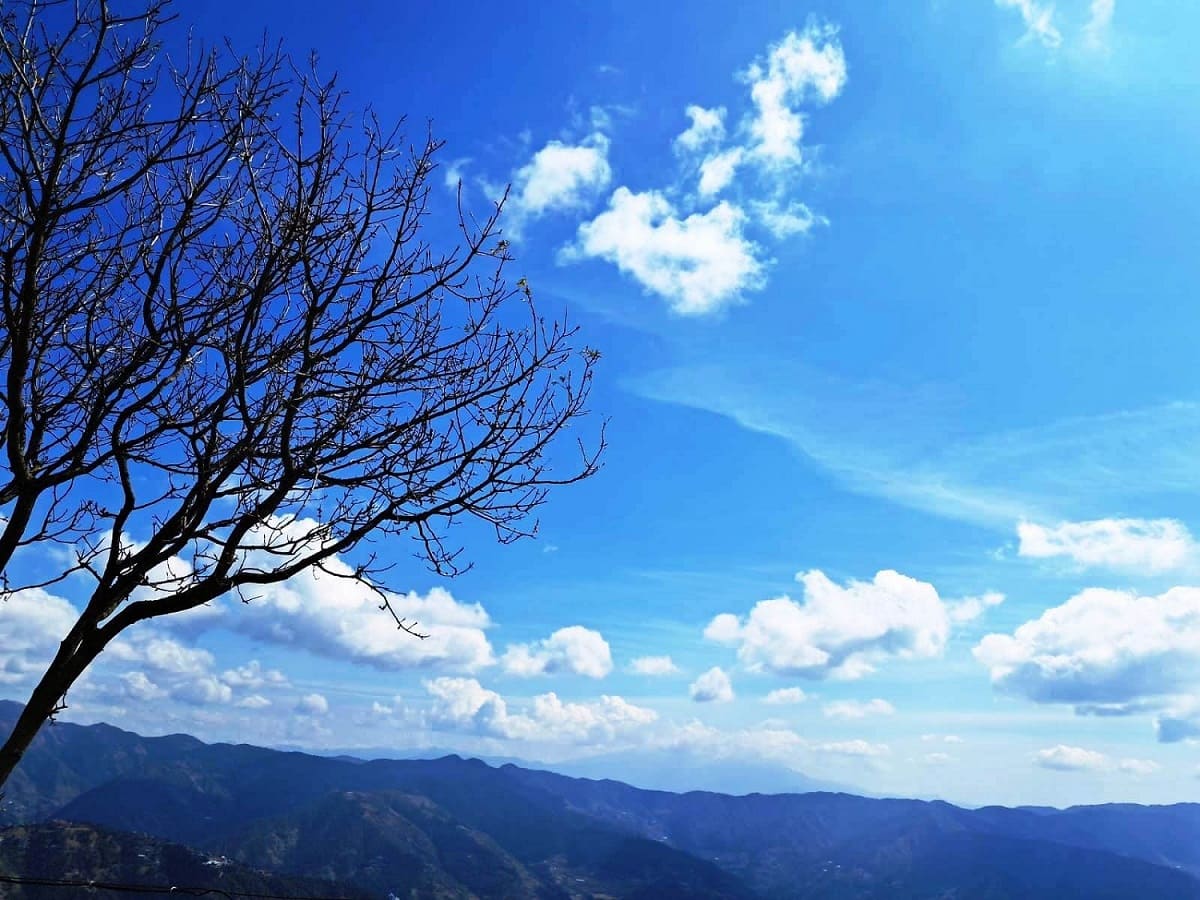 Sky appears Blue during daytime, but why